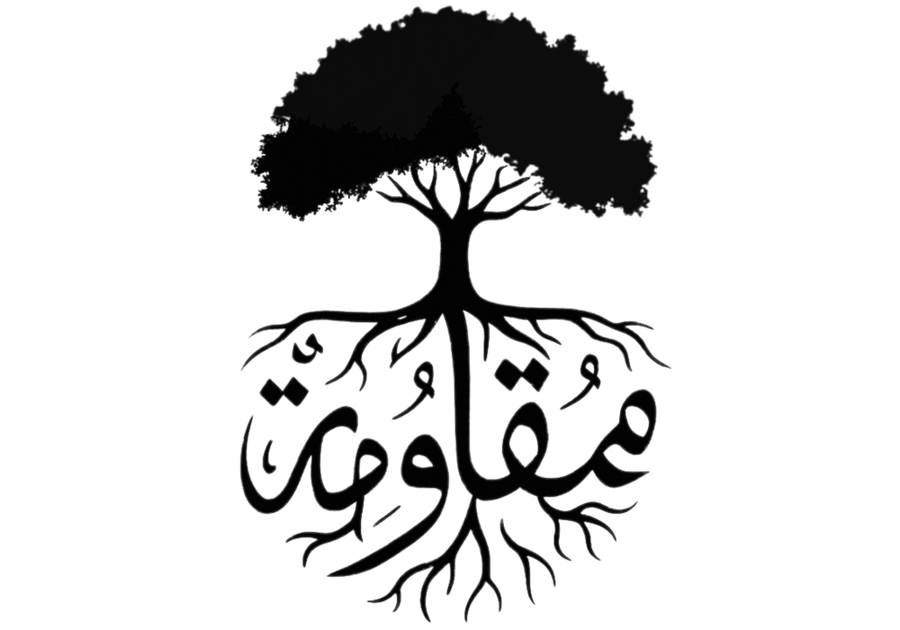 Olive tree representing enduring roots and resilience